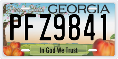 GA license plate PFZ9841
