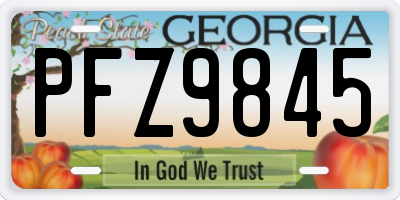 GA license plate PFZ9845