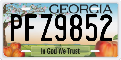 GA license plate PFZ9852