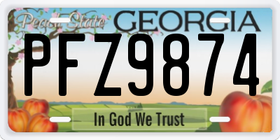 GA license plate PFZ9874