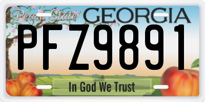 GA license plate PFZ9891