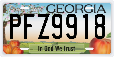 GA license plate PFZ9918