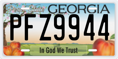 GA license plate PFZ9944