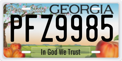 GA license plate PFZ9985