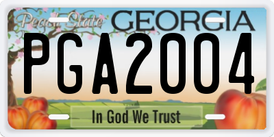 GA license plate PGA2004