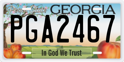 GA license plate PGA2467