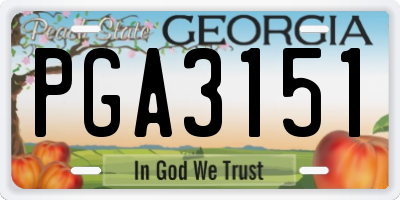 GA license plate PGA3151