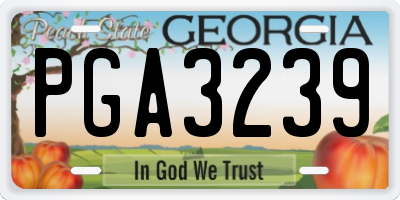 GA license plate PGA3239