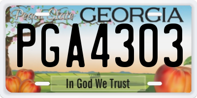 GA license plate PGA4303