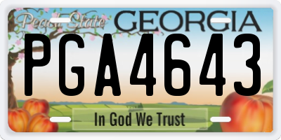 GA license plate PGA4643