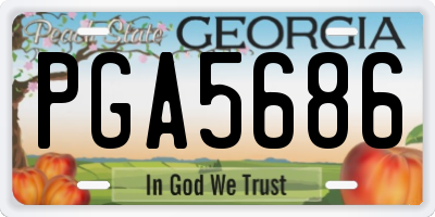 GA license plate PGA5686