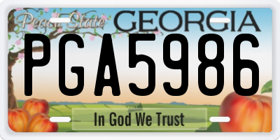 GA license plate PGA5986