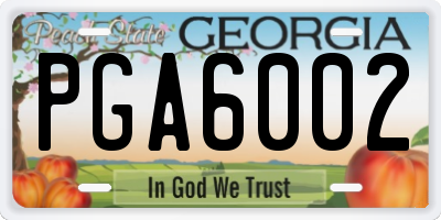 GA license plate PGA6002