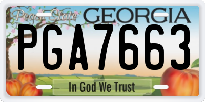 GA license plate PGA7663