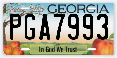 GA license plate PGA7993