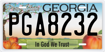 GA license plate PGA8232
