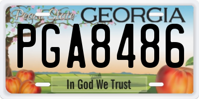 GA license plate PGA8486