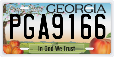 GA license plate PGA9166