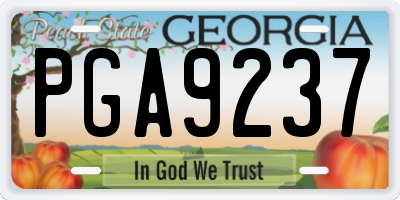 GA license plate PGA9237