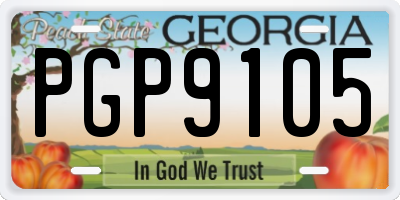GA license plate PGP9105