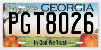 GA license plate PGT8026