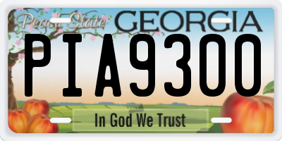 GA license plate PIA9300