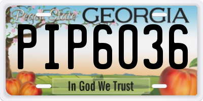 GA license plate PIP6036