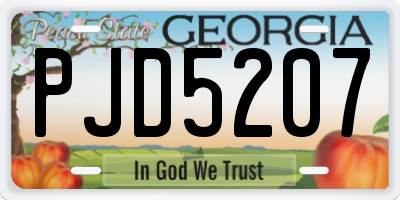 GA license plate PJD5207