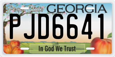 GA license plate PJD6641