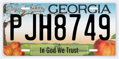 GA license plate PJH8749