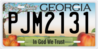 GA license plate PJM2131