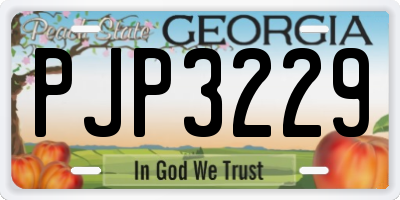 GA license plate PJP3229