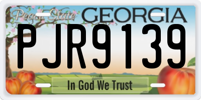 GA license plate PJR9139