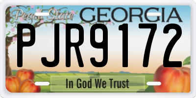 GA license plate PJR9172