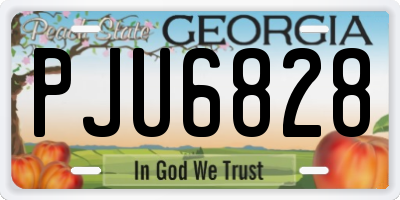 GA license plate PJU6828