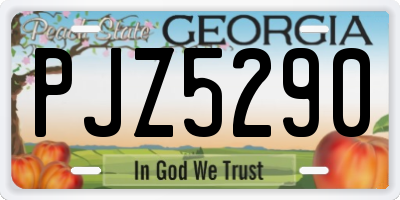 GA license plate PJZ5290