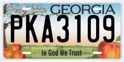 GA license plate PKA3109