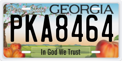 GA license plate PKA8464