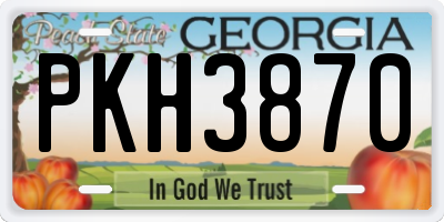 GA license plate PKH3870
