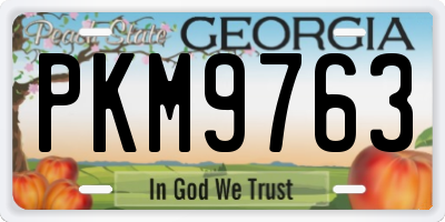 GA license plate PKM9763