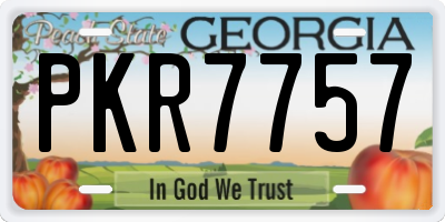 GA license plate PKR7757