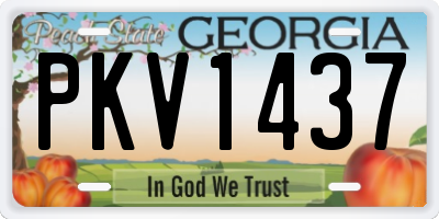 GA license plate PKV1437