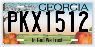 GA license plate PKX1512