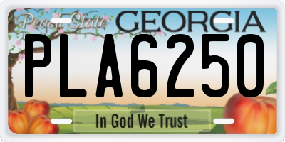 GA license plate PLA6250