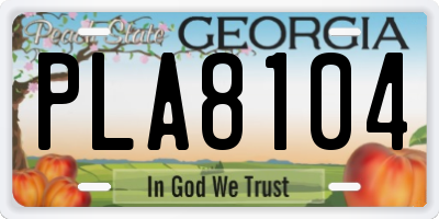 GA license plate PLA8104
