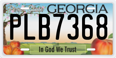 GA license plate PLB7368