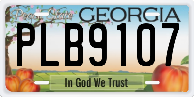 GA license plate PLB9107