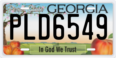 GA license plate PLD6549