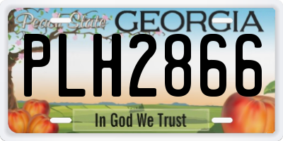 GA license plate PLH2866