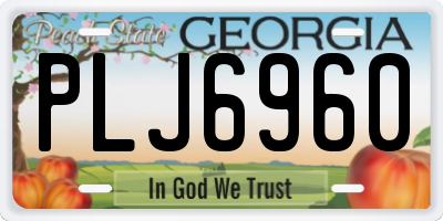 GA license plate PLJ6960